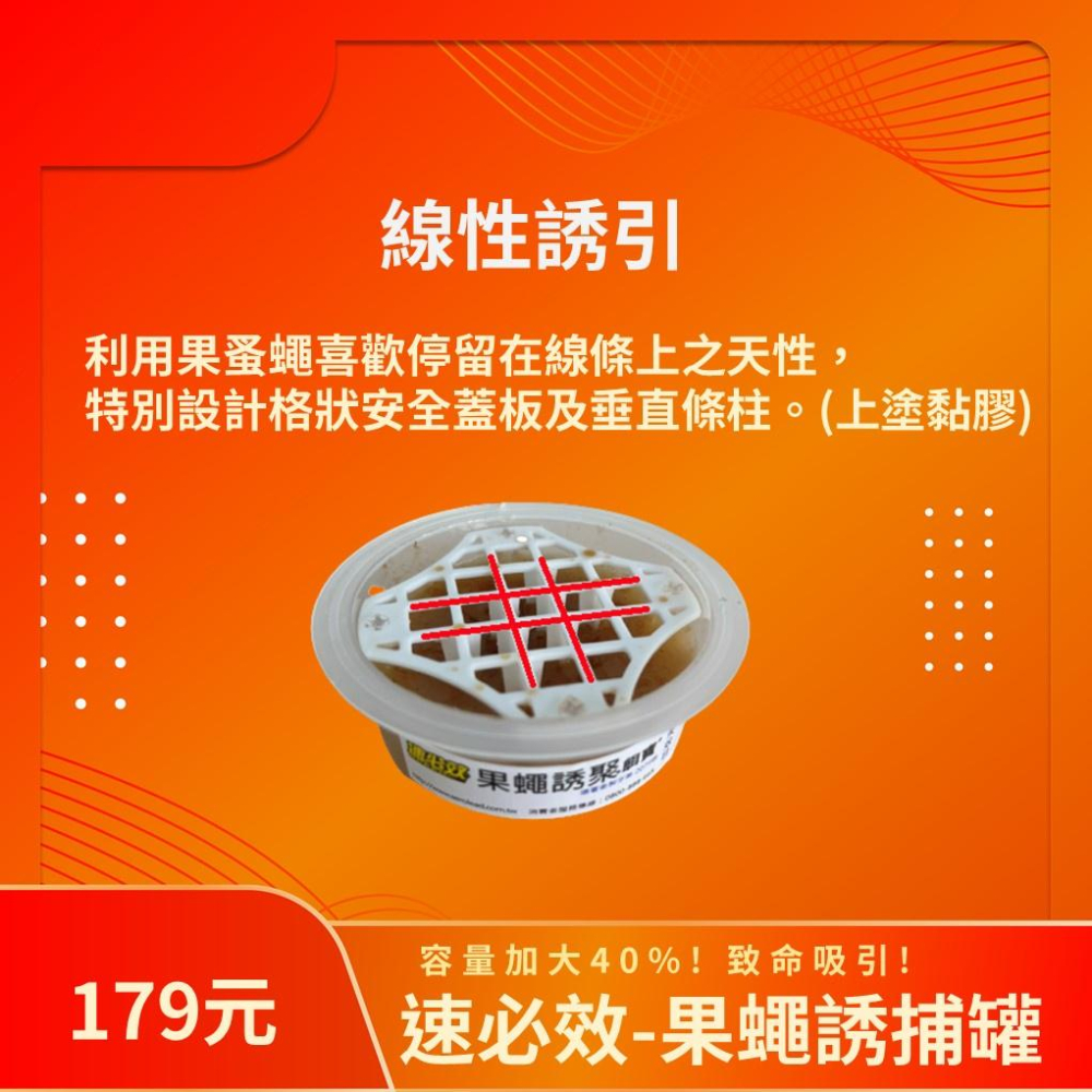 【多件優惠】果蠅誘捕器 大容量70g  果蠅蚤蠅皆適用 除蟲 環境消毒 捕蠅杯 捕蠅 果蠅 蚤蠅 防果蠅-細節圖3