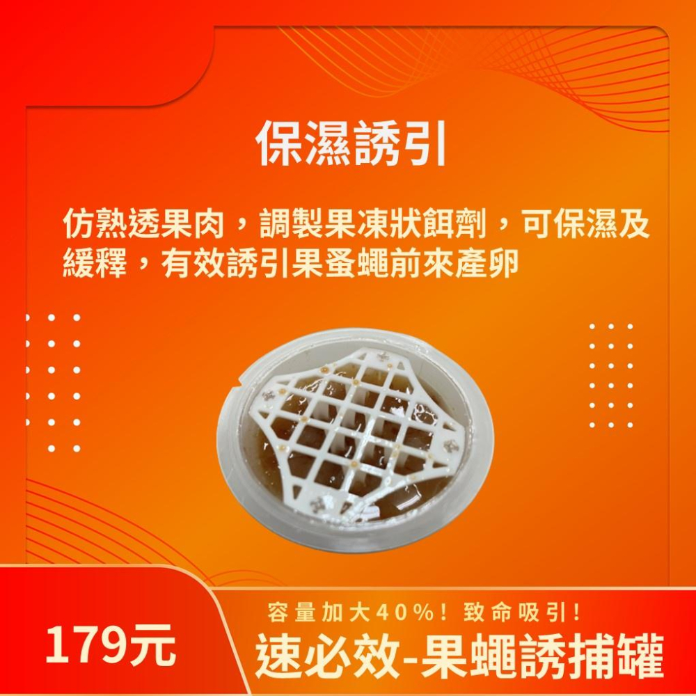 【多件優惠】果蠅誘捕器 大容量70g  果蠅蚤蠅皆適用 除蟲 環境消毒 捕蠅杯 捕蠅 果蠅 蚤蠅 防果蠅-細節圖4