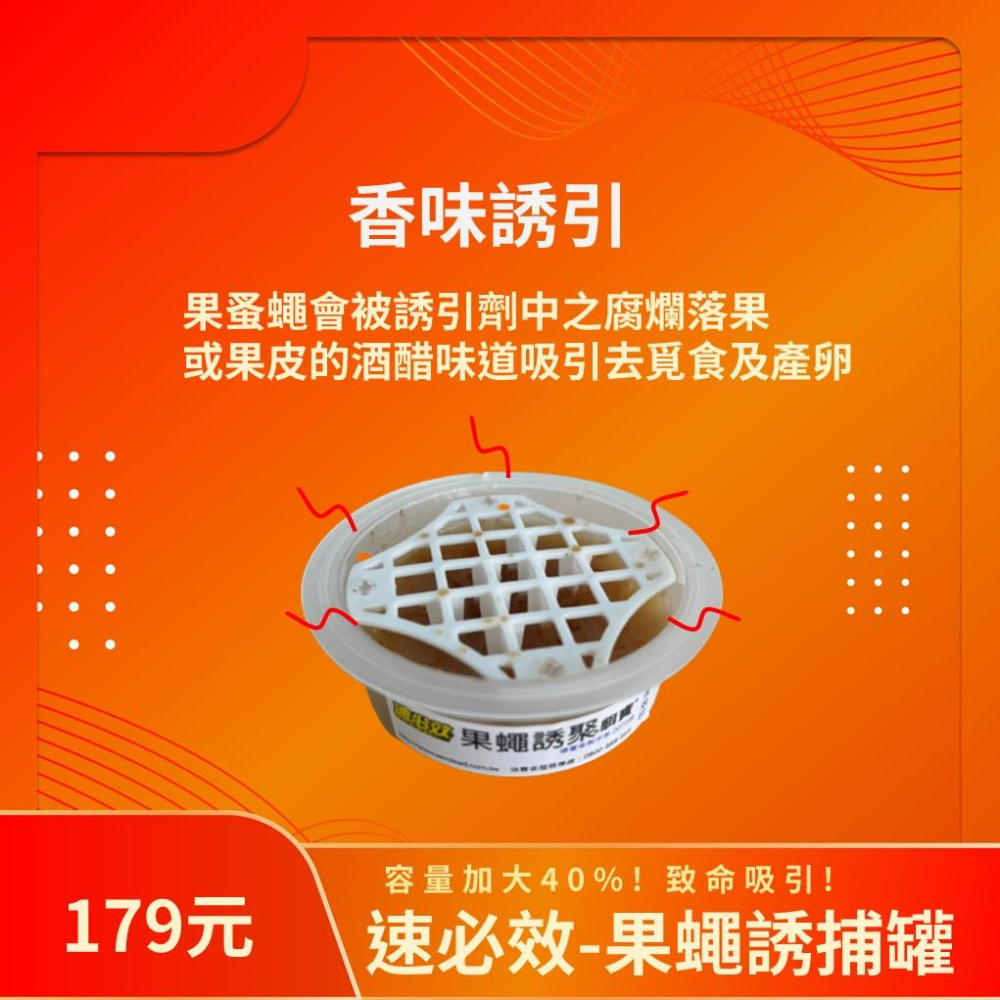 【多件優惠】果蠅誘捕器 大容量70g  果蠅蚤蠅皆適用 除蟲 環境消毒 捕蠅杯 捕蠅 果蠅 蚤蠅 防果蠅-細節圖5