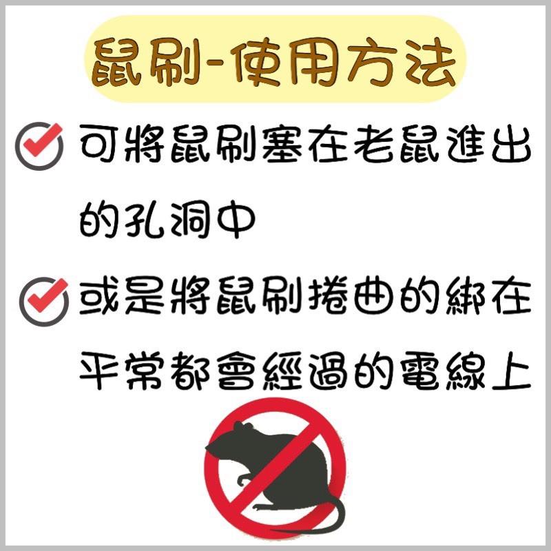 【99免運+電子發票】鼠刷 填補老鼠洞 防鼠刷 防鼠刺 防鼠好幫手-細節圖3