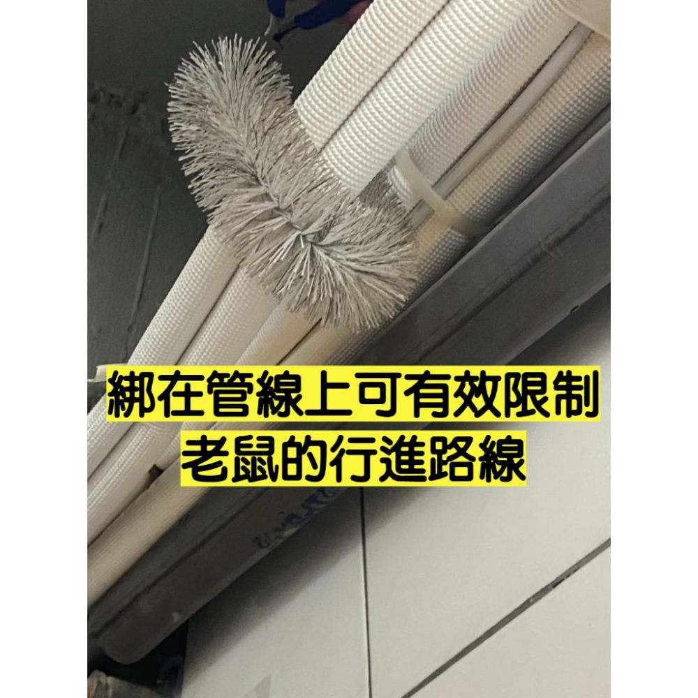 【99免運+電子發票】鼠刷 填補老鼠洞 防鼠刷 防鼠刺 防鼠好幫手-細節圖5