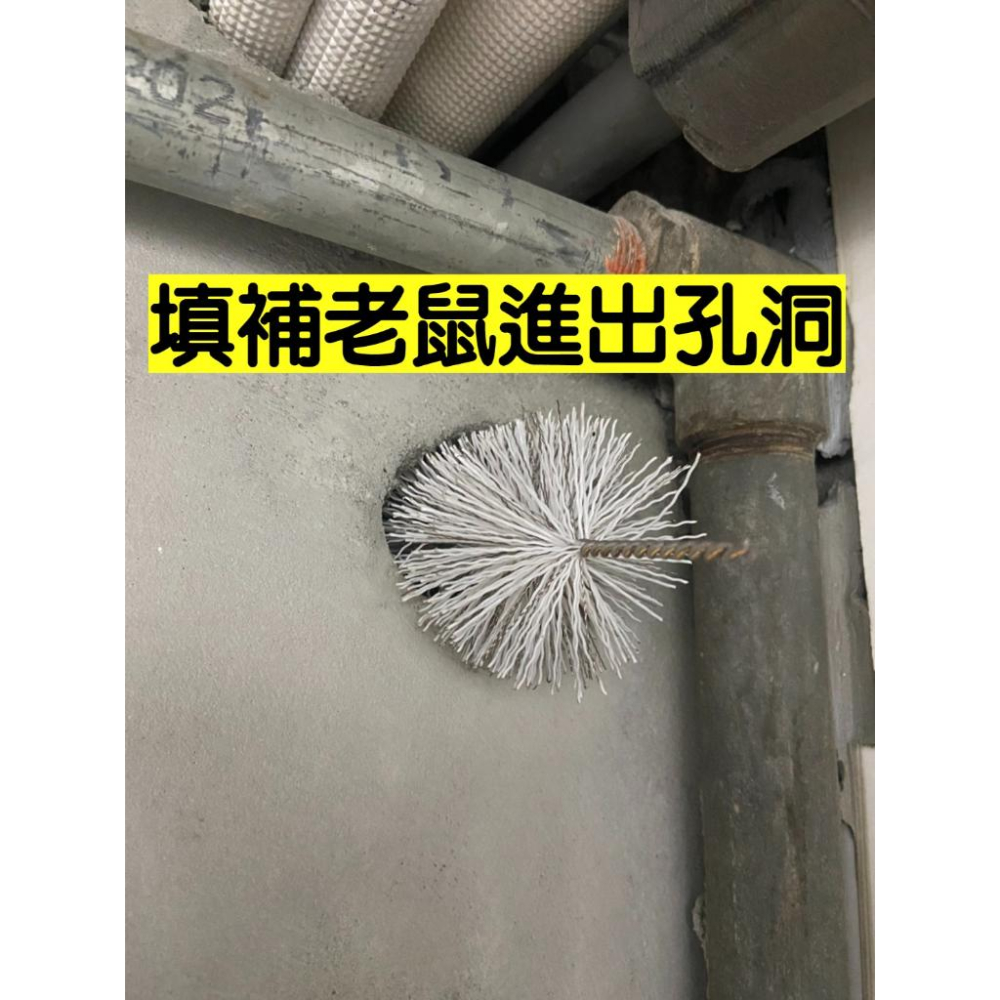 【99免運+電子發票】鼠刷 填補老鼠洞 防鼠刷 防鼠刺 防鼠好幫手-細節圖6