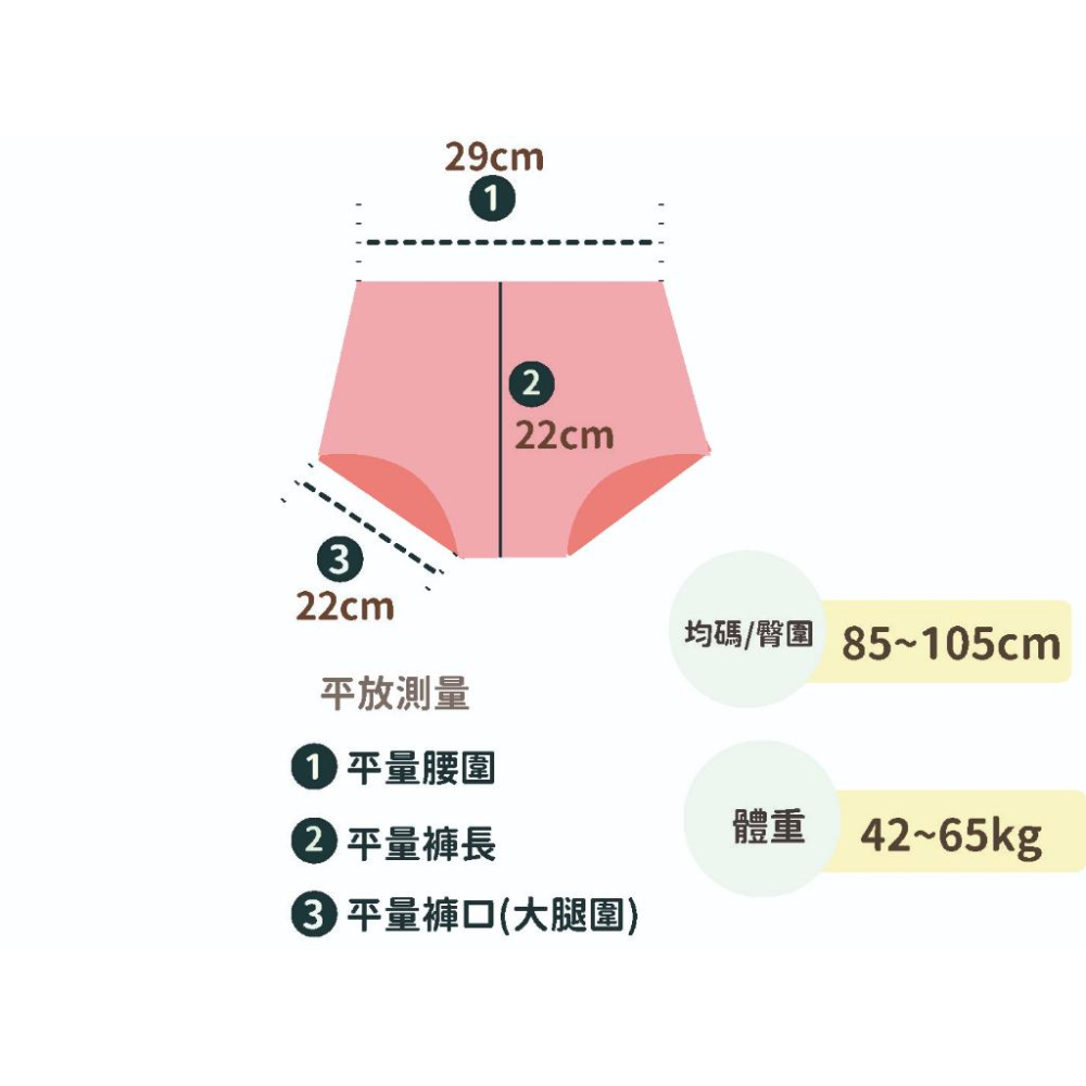 現貨  熱銷款 莫代爾極光女用內褲 內褲 運動內褲 無勒感 冰絲超涼感 女生內搭 高彈無縫內褲 提臀 抗菌內褲-細節圖4