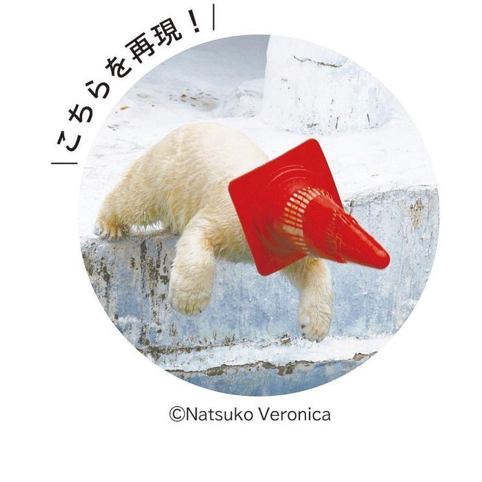 日本🇯🇵天王寺動物園X 頭戴三角錐 北極熊跳水造型伸縮票卡套玩偶 玩偶吊飾-細節圖7