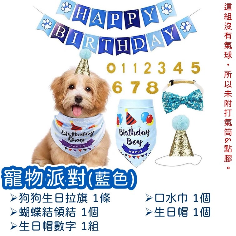 【24H快速出貨】寵物 生日派對氣球 主題派對 毛小孩 狗狗 貓咪  寵物蝴蝶結 寵物圍兜 寵物配件 口水巾 頸部裝飾-細節圖5