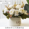 白色牡丹+Life陶瓷花盆