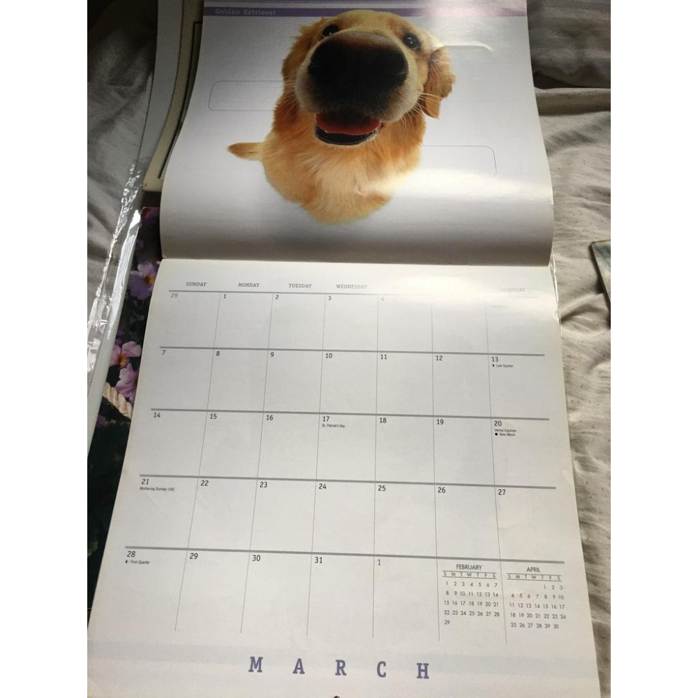 2004 about face dog 年曆/ 2004 lovable labs / 2003 calendar an-細節圖2