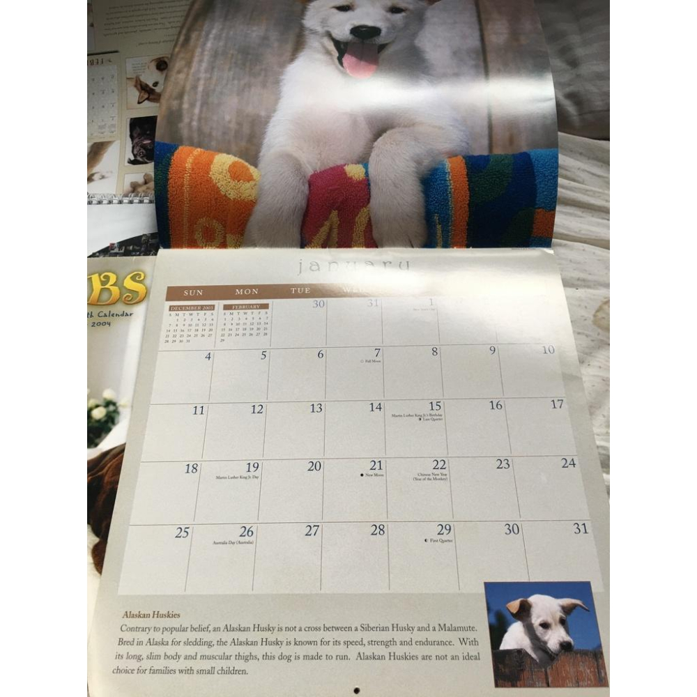 2004 about face dog 年曆/ 2004 lovable labs / 2003 calendar an-細節圖4