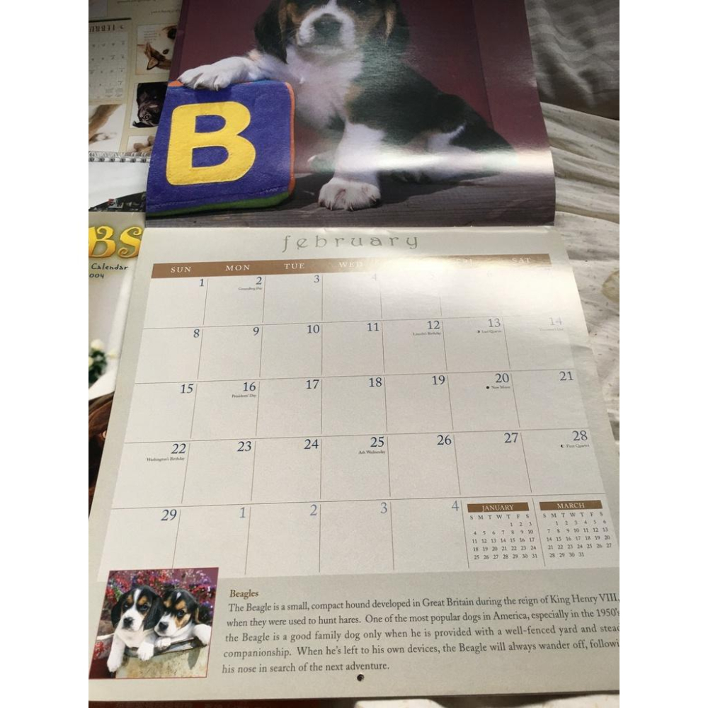 2004 about face dog 年曆/ 2004 lovable labs / 2003 calendar an-細節圖5