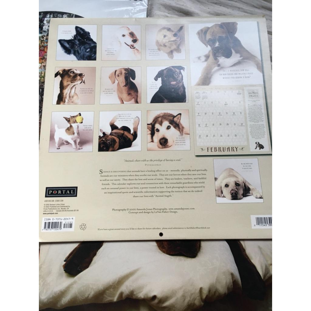 2004 about face dog 年曆/ 2004 lovable labs / 2003 calendar an-細節圖7