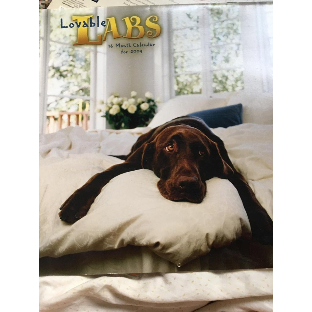 2004 about face dog 年曆/ 2004 lovable labs / 2003 calendar an-細節圖8