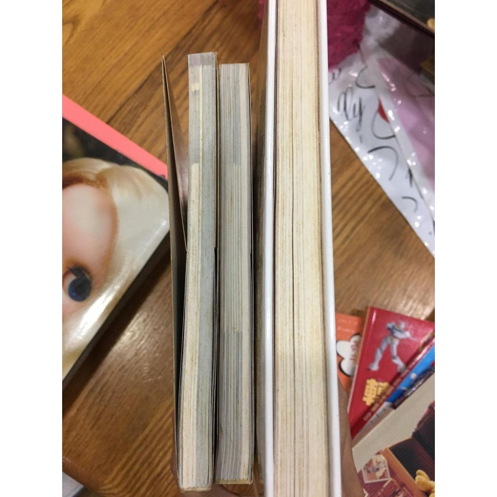 【阿得二手書籍】 熊熊珍藏圖鑑/ 泰迪熊 /熊熊嘉年華  ｜ 李若菱著-細節圖7