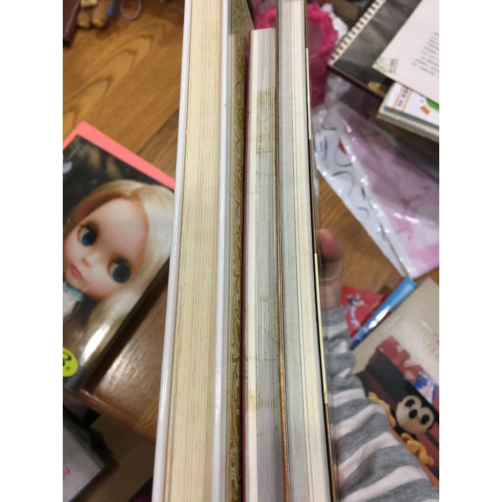 【阿得二手書籍】 熊熊珍藏圖鑑/ 泰迪熊 /熊熊嘉年華  ｜ 李若菱著-細節圖8