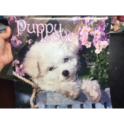 2001年月曆 puppy love/國外動物Puppy love 2004年曆