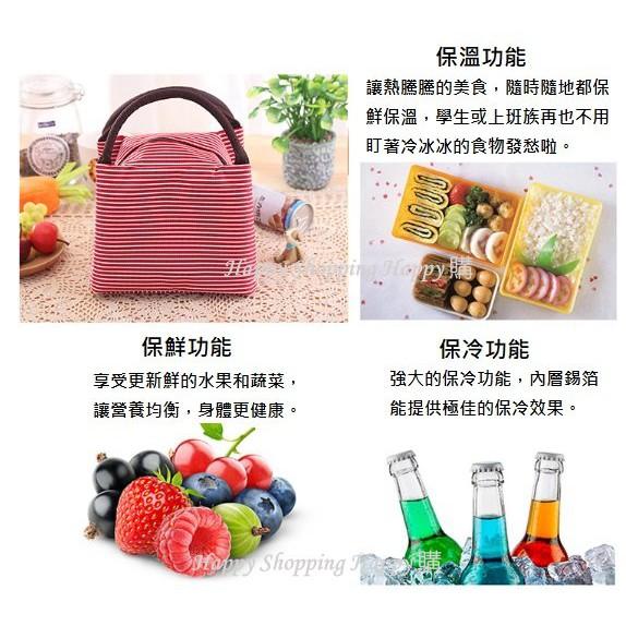 🚚現貨🚚 條紋便當袋 條紋 便當袋 手提袋 野餐 保冰 保冷 保溫 牛津布 棉麻便當包 便當包  露營 餐具 便當-細節圖8