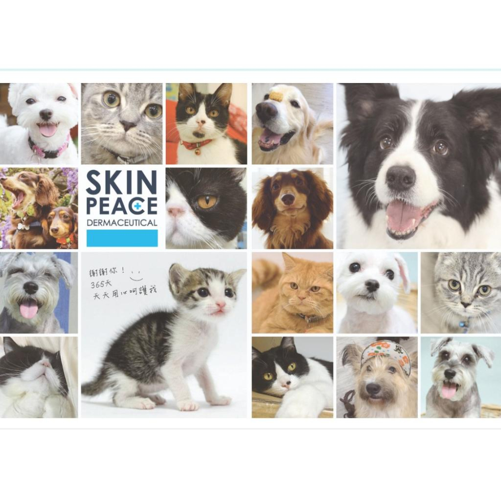 肌本和平 SKIN PEACE 敏弱醫美系列 310ML 犬貓洗毛精 狗 貓 洗護 首創天然醫美洗護配方 潔耳凝膠 清潔-細節圖9