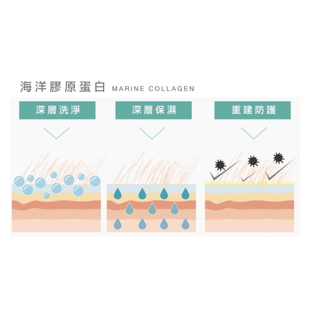 1022 海漾美肌 膠原蛋白 洗護 系列 洗毛 護毛 寵物 貓 狗 柔順 蓬鬆 舒緩 茶樹 潔淨柔白 呵護 潔耳液-細節圖3