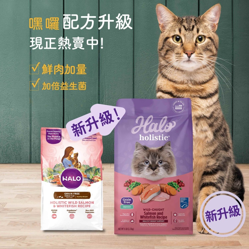 美國 HALO 嘿囉 🐥 無穀 貓飼料 幼貓 成貓 貓糧 鮭魚 雞肉 貓 3LB 6LB 10LB-細節圖2