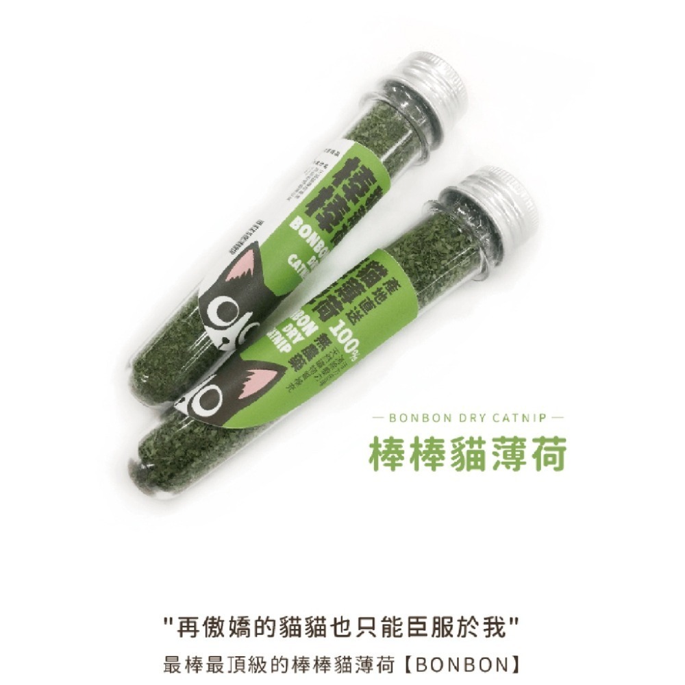 汪喵星球 🍏 頂級貓薄荷棒棒 木天蓼 🍏 貓咪生菜 貓草新鮮栽培盒 🍏 潔牙棒 蟲癭果 貓草 乾貓草 貓薄-細節圖2