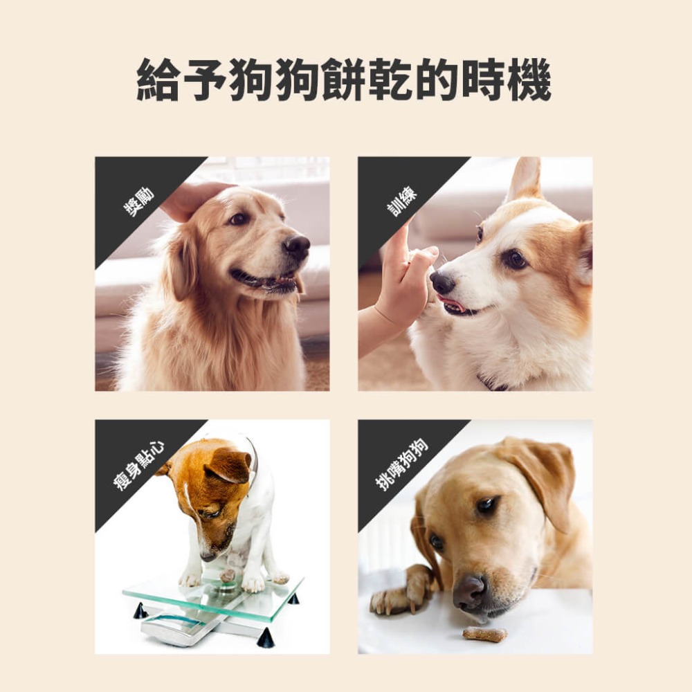 THE DOG 爐烤點心餅乾 韓國 魚肉餅乾 🧡 訓練餅乾 狗點心 貓點心 魚肉 點心 零食 狗 貓 原味 鱈魚-細節圖3