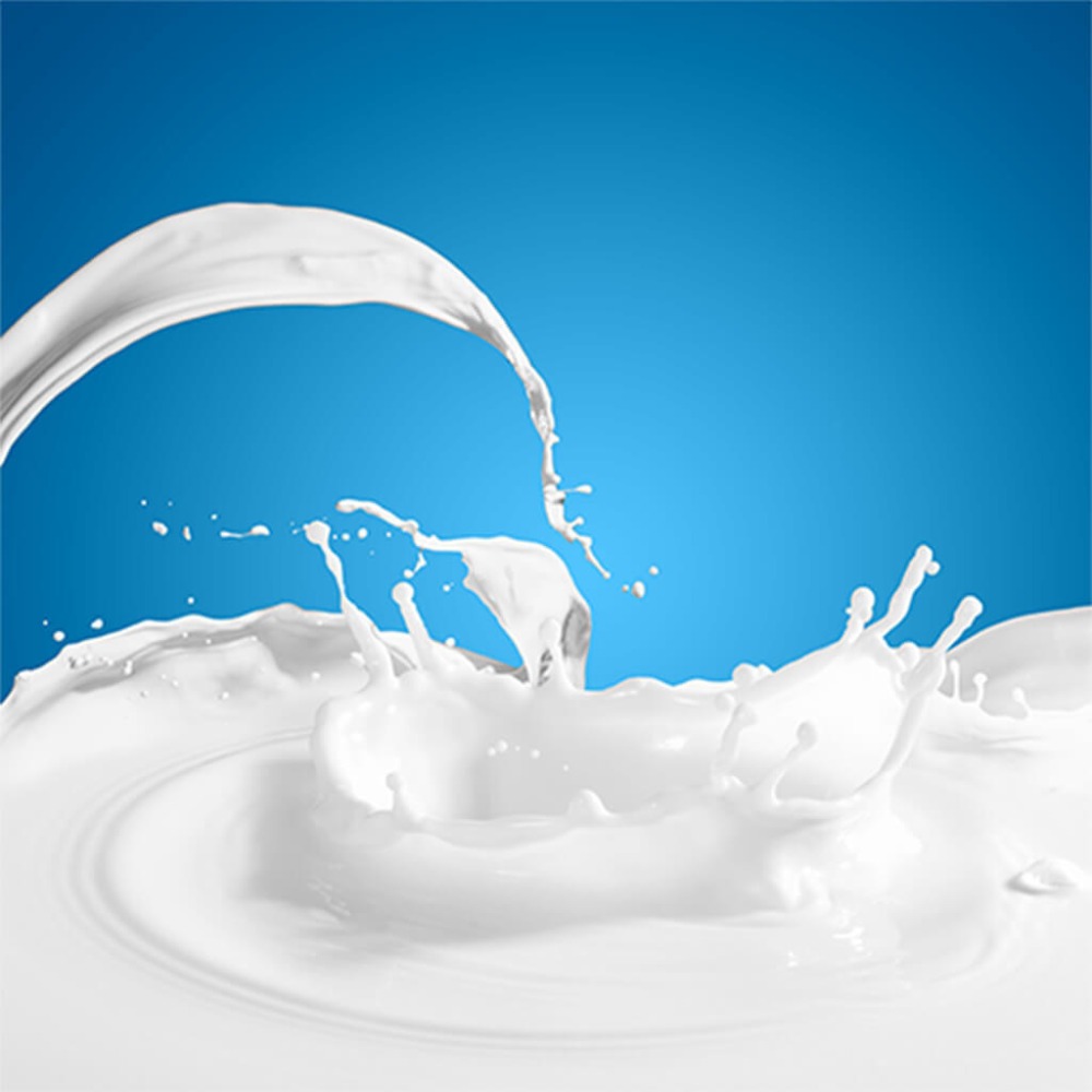 THE DOG 爐烤點心餅乾 韓國 魚肉餅乾 🧡 訓練餅乾 狗點心 貓點心 魚肉 點心 零食 狗 貓 原味 鱈魚-細節圖7