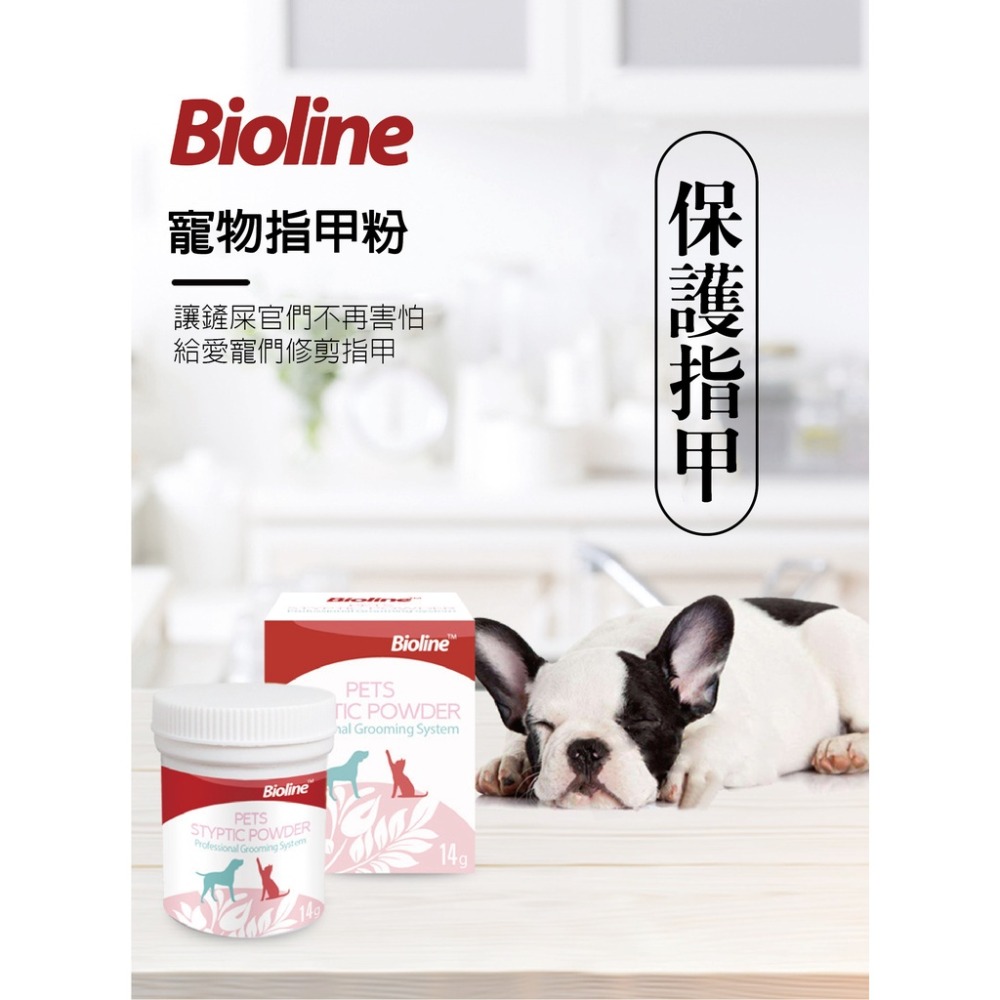 Bioline 止血粉 🐩 14g 寵物指甲粉 🐩 剪指甲 指甲 貓咪止血粉 狗狗止血粉 兔子止血粉 鳥止血粉 寵物美容-細節圖6