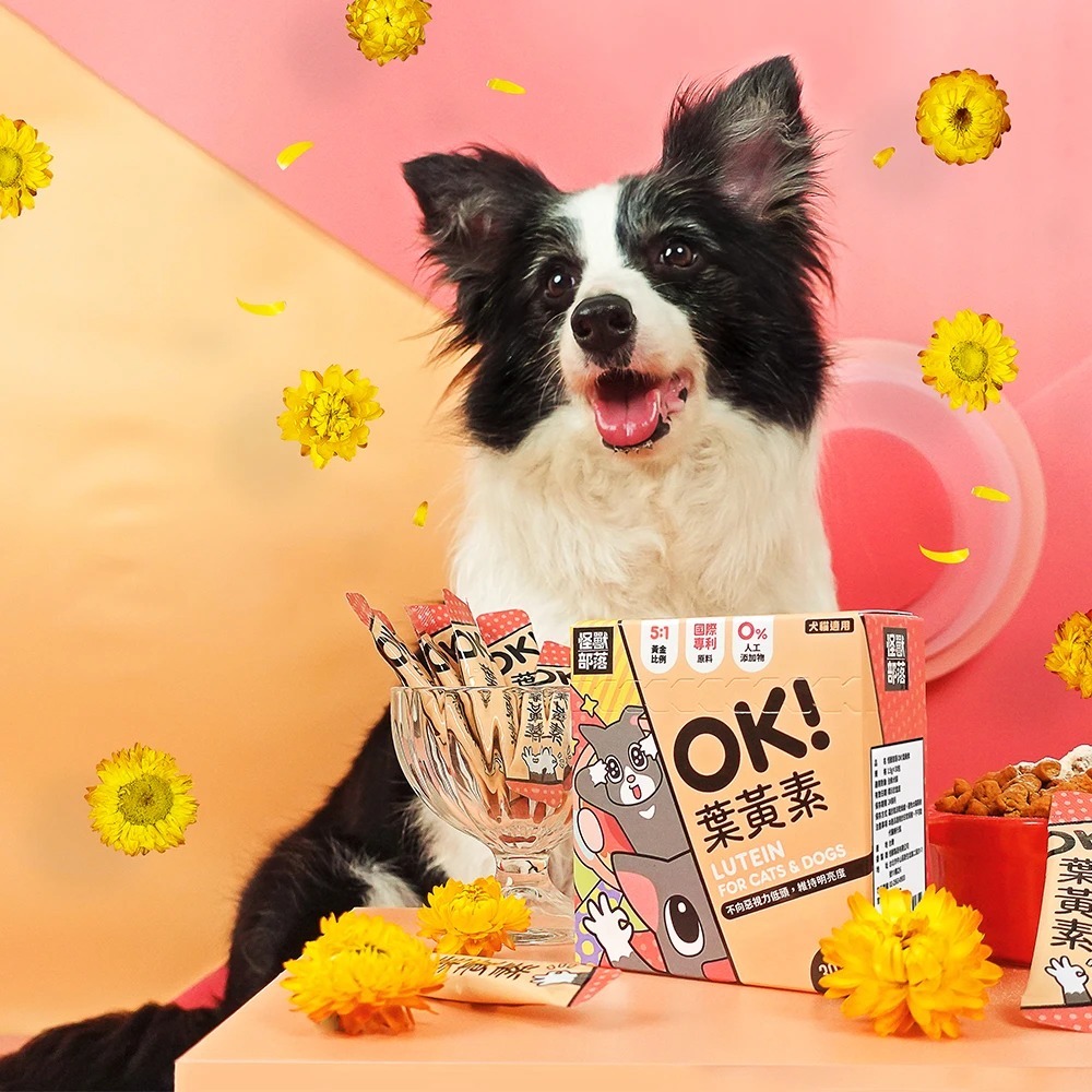 怪獸部落 🔵 OK! 軟骨素 益生菌 蔓越莓 葉黃素 🔵 1.5g x 30包 狗保健品 貓保健品-細節圖8