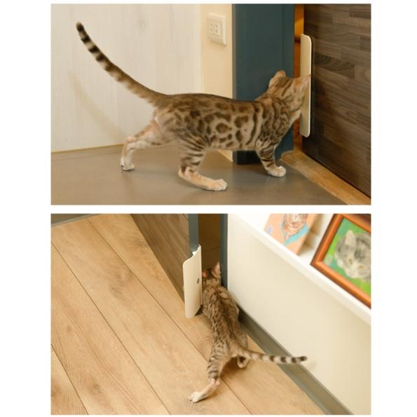 寵物開門神器 🍎 貓門 自由出入門 貓咪進出門 擋板裝置 自動關門 貓狗OK 貓 狗 開門-細節圖4