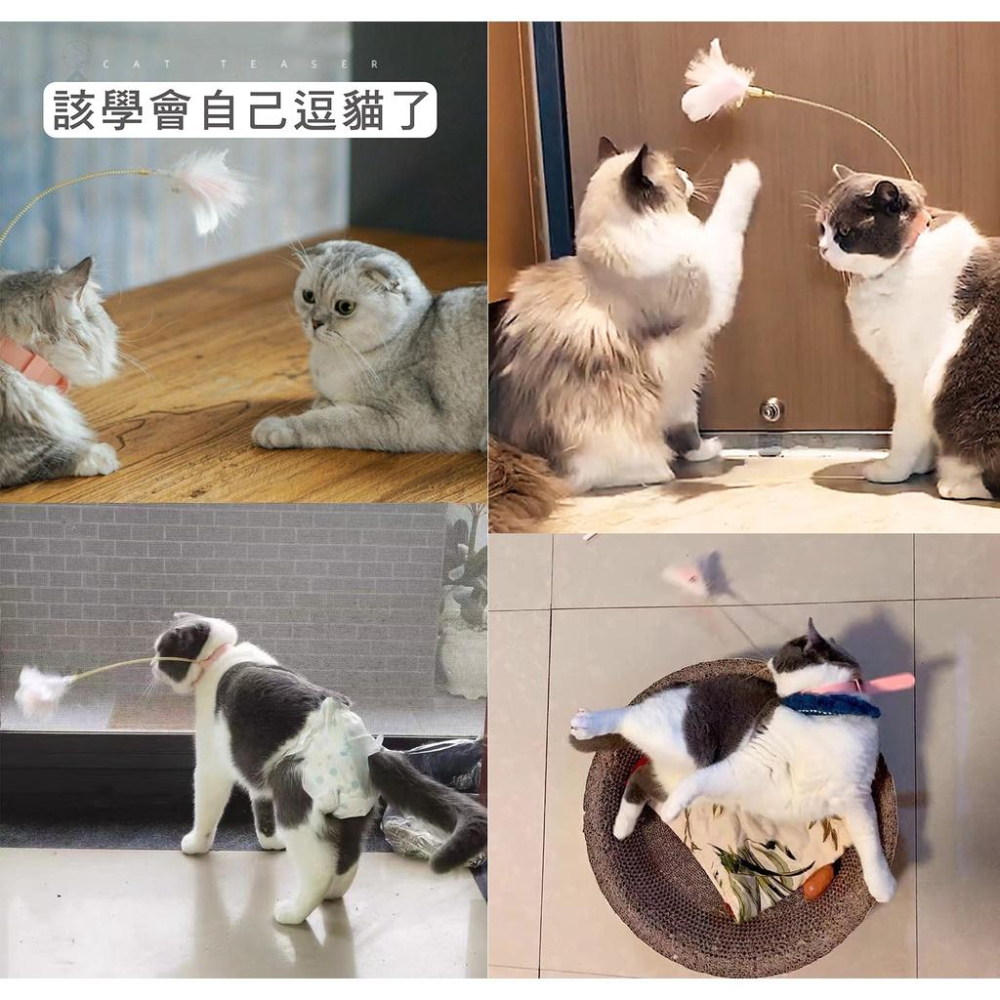懶人逗貓 項圈彈簧逗貓棒 🍬 抖音同款 逗貓棒 項圈逗貓棒 羽毛逗貓棒 貓咪自嗨神器 可綁腳 綁貓脖子 貓玩具 寵物玩具-細節圖8