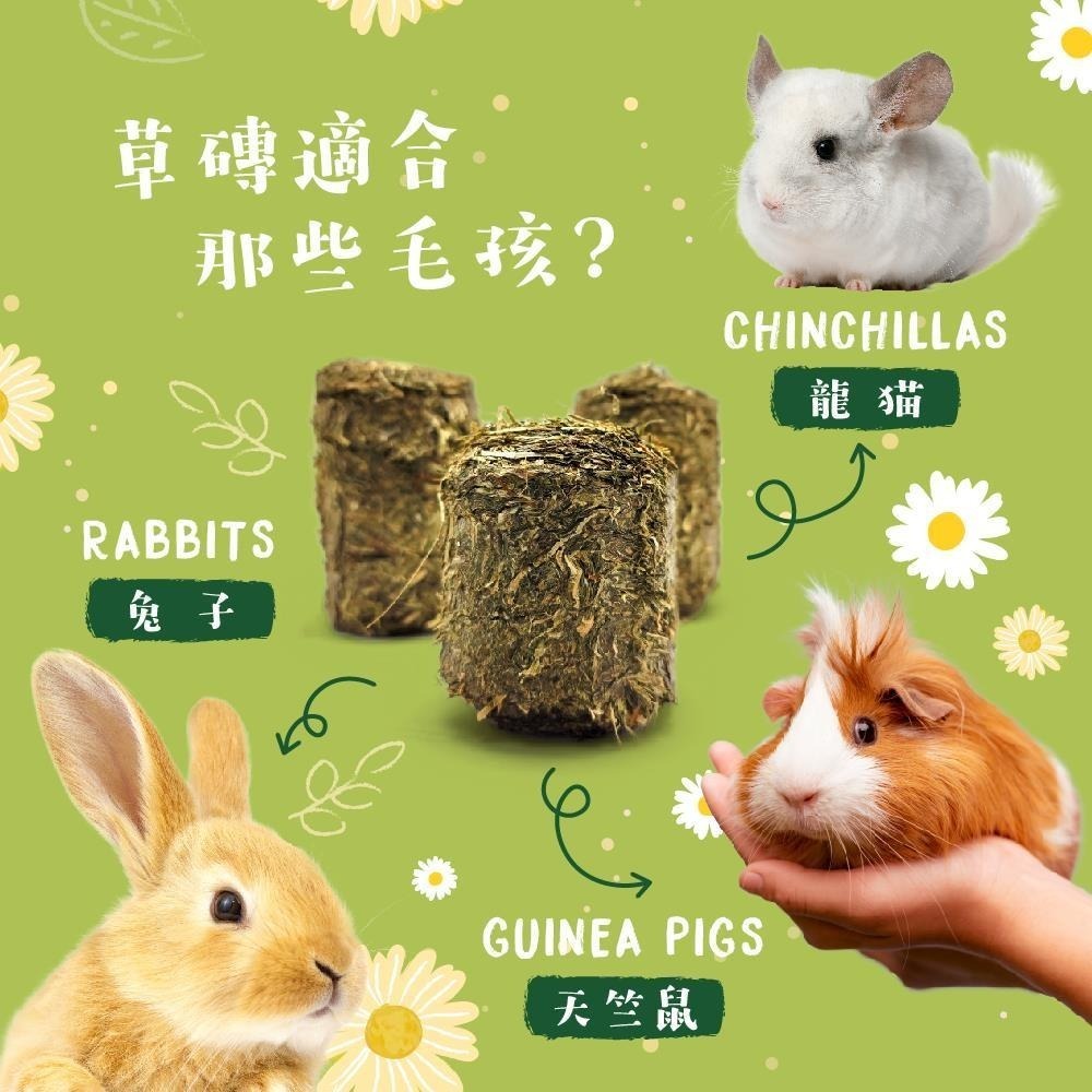伯爵 Burgess 機能飼料 點心餅 草磚 成兔 室內成兔 幼兔 侏儒兔 老兔 天竺鼠 龍貓 鼠 薄荷 奧勒岡 草本-細節圖4