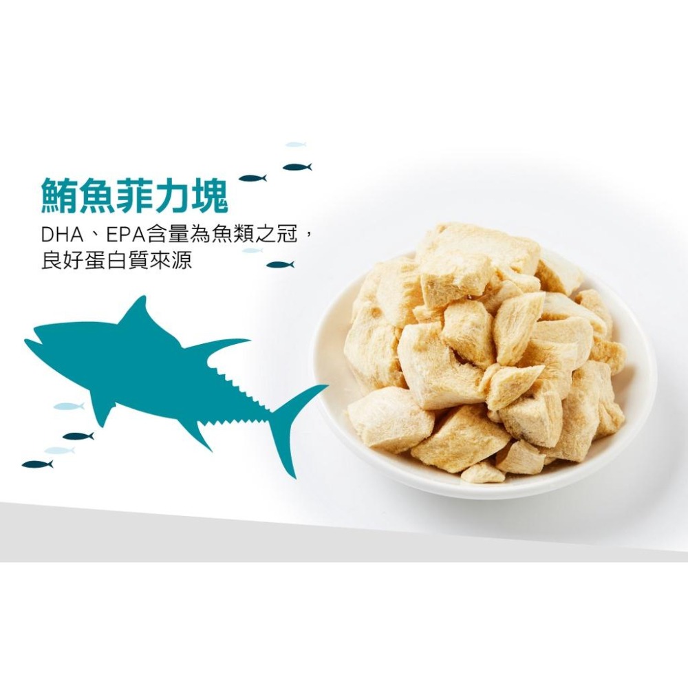 O＇KAT 美喵人生 ⭕️ 冷凍乾燥貓零食 ⚜️ 菲力塊 貓凍乾零食 35g 貓 貓咪 貓零食 貓凍乾 貓點心-細節圖4