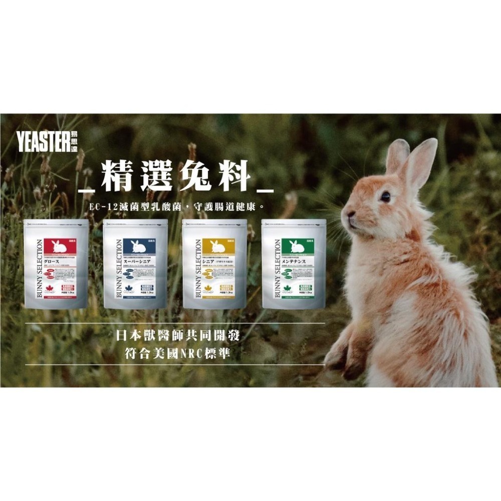 Yeaster 易思達 💖 日本 💖 鋼琴兔 高級化毛兔 精選兔料 2.5KG 成兔飼料 老兔飼料 兔子飼料-細節圖4