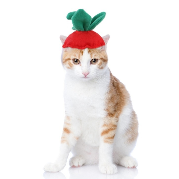 寵物頭套 🍓 可愛頭套 🥦 裝飾 配件 可愛萌趣 裝扮頭飾毛絨 貓咪頭套 兔子造型 寵物變裝帽 小型犬貓用 萬聖節特賣-規格圖9