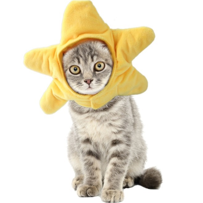 寵物頭套 🍓 可愛頭套 🥦 裝飾 配件 可愛萌趣 裝扮頭飾毛絨 貓咪頭套 兔子造型 寵物變裝帽 小型犬貓用 萬聖節特賣-規格圖9