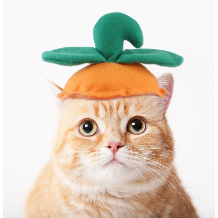 寵物頭套 🍓 可愛頭套 🥦 裝飾 配件 可愛萌趣 裝扮頭飾毛絨 貓咪頭套 兔子造型 寵物變裝帽 小型犬貓用 萬聖節特賣-規格圖9
