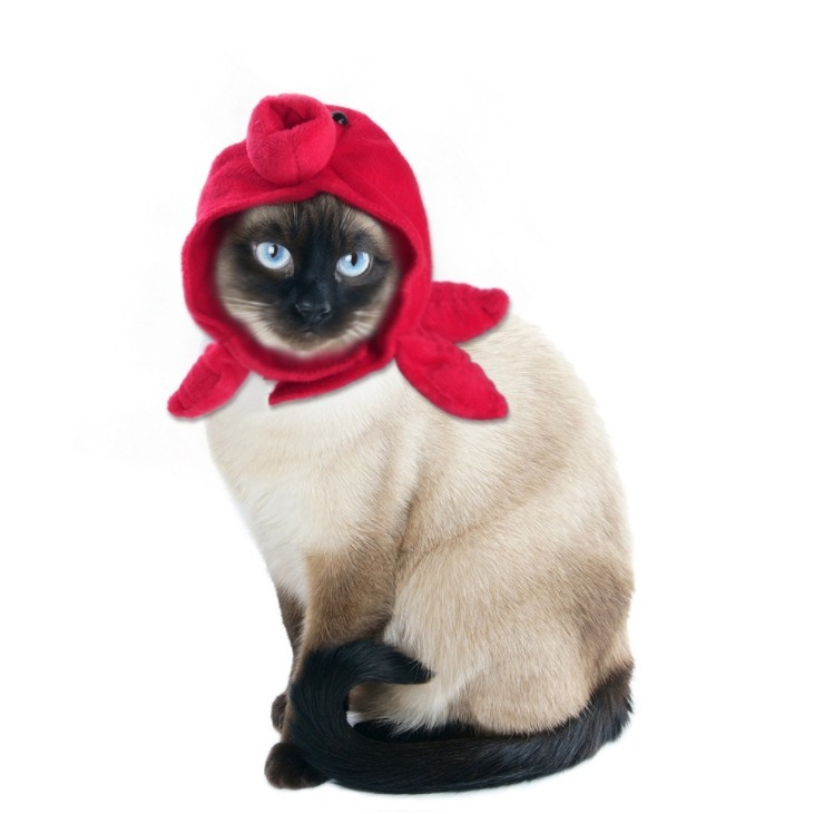 寵物頭套 🍓 可愛頭套 🥦 裝飾 配件 可愛萌趣 裝扮頭飾毛絨 貓咪頭套 兔子造型 寵物變裝帽 小型犬貓用 萬聖節特賣-規格圖9