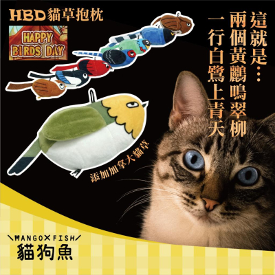 HBD 貓草抱枕 快樂鳥日子 💗 HAPPY BIRDS DAY 鳥類造型玩具 貓草玩具 貓玩具 貓薄荷玩具 貓 響紙