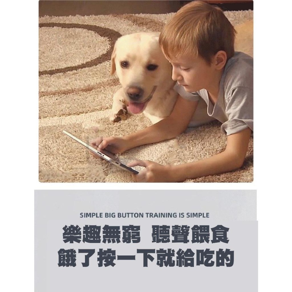 互動按鈕 寵物錄音按鈕 寵物表達按鈴 寵物交流按鈕 互動鈴 寵物訓練 互動按鈴 寵物按鈕 寵物交流 狗狗按鈴 狗狗發聲盒-細節圖4