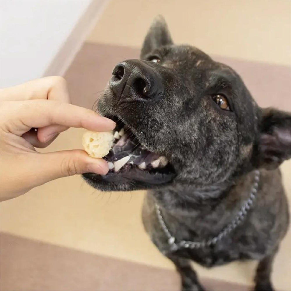 💛 天然起司球 💛 汪喵星球 💛 100% 來自澳洲 💛 每口都是滿滿的起司 💛 40g-細節圖2