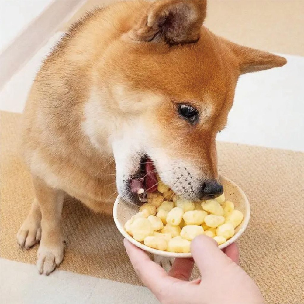 💛 天然起司球 💛 汪喵星球 💛 100% 來自澳洲 💛 每口都是滿滿的起司 💛 40g-細節圖3