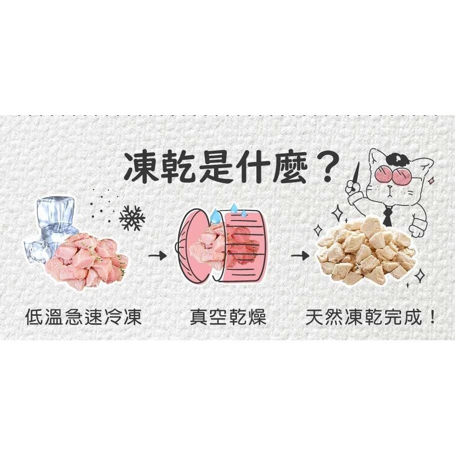 CAT POOL  貓侍 凍乾 👺 冷凍乾燥零食 點心 CAT-POOL 貓零食 貓 夾鏈袋裝可妥善保存-細節圖4