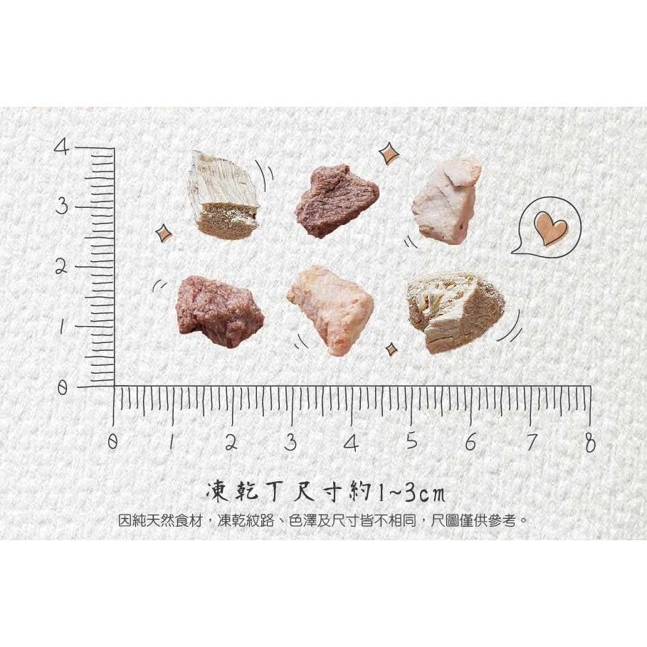 CAT POOL  貓侍 凍乾 👺 冷凍乾燥零食 點心 CAT-POOL 貓零食 貓 夾鏈袋裝可妥善保存-細節圖5