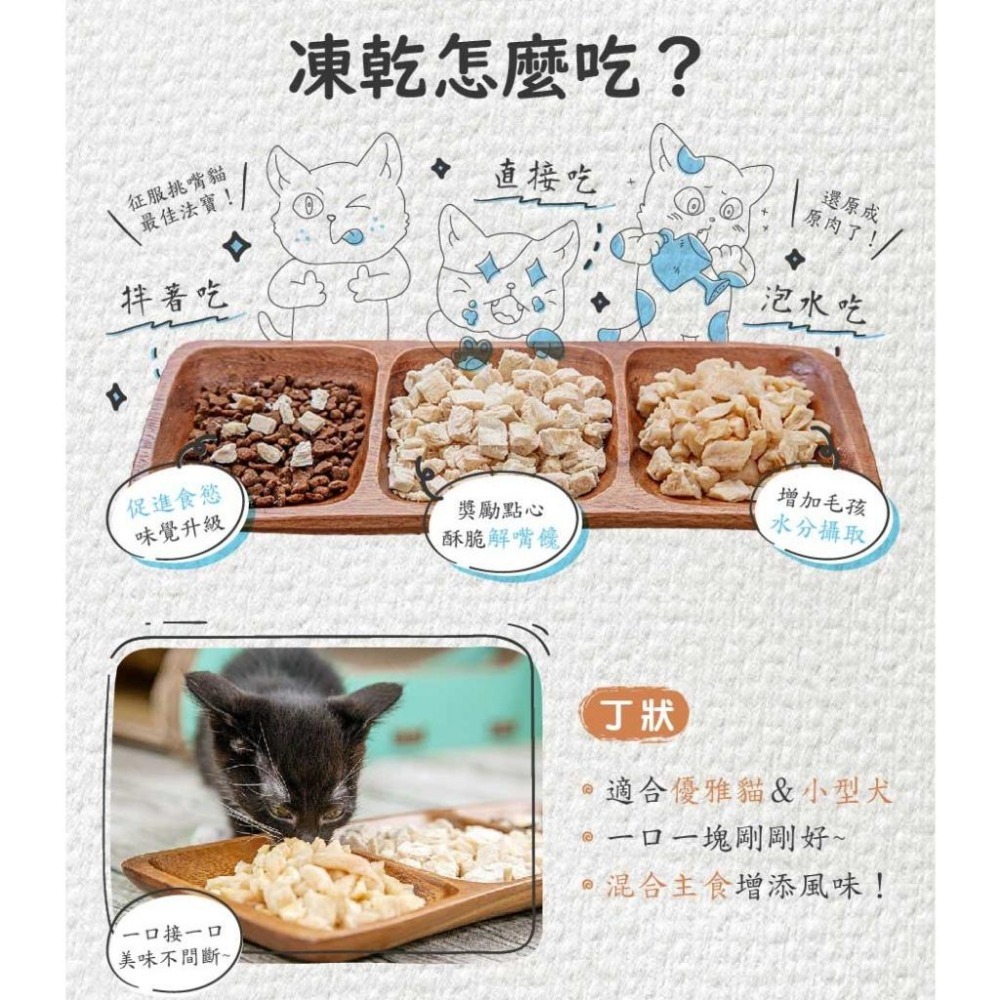 CAT POOL  貓侍 凍乾 👺 冷凍乾燥零食 點心 CAT-POOL 貓零食 貓 夾鏈袋裝可妥善保存-細節圖6