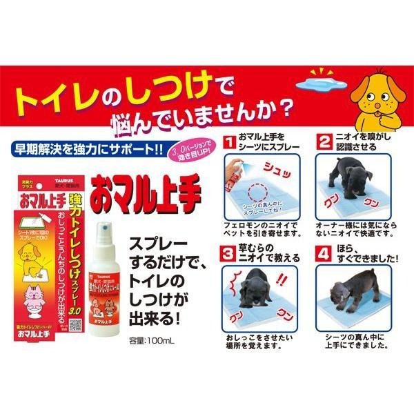 日本 TAURUS 金牛座 育犬物語 乖乖上廁所 萬用噴霧 情緒安定噴霧 防搗蛋貼片 防惡作劇噴霧 100ml-細節圖5