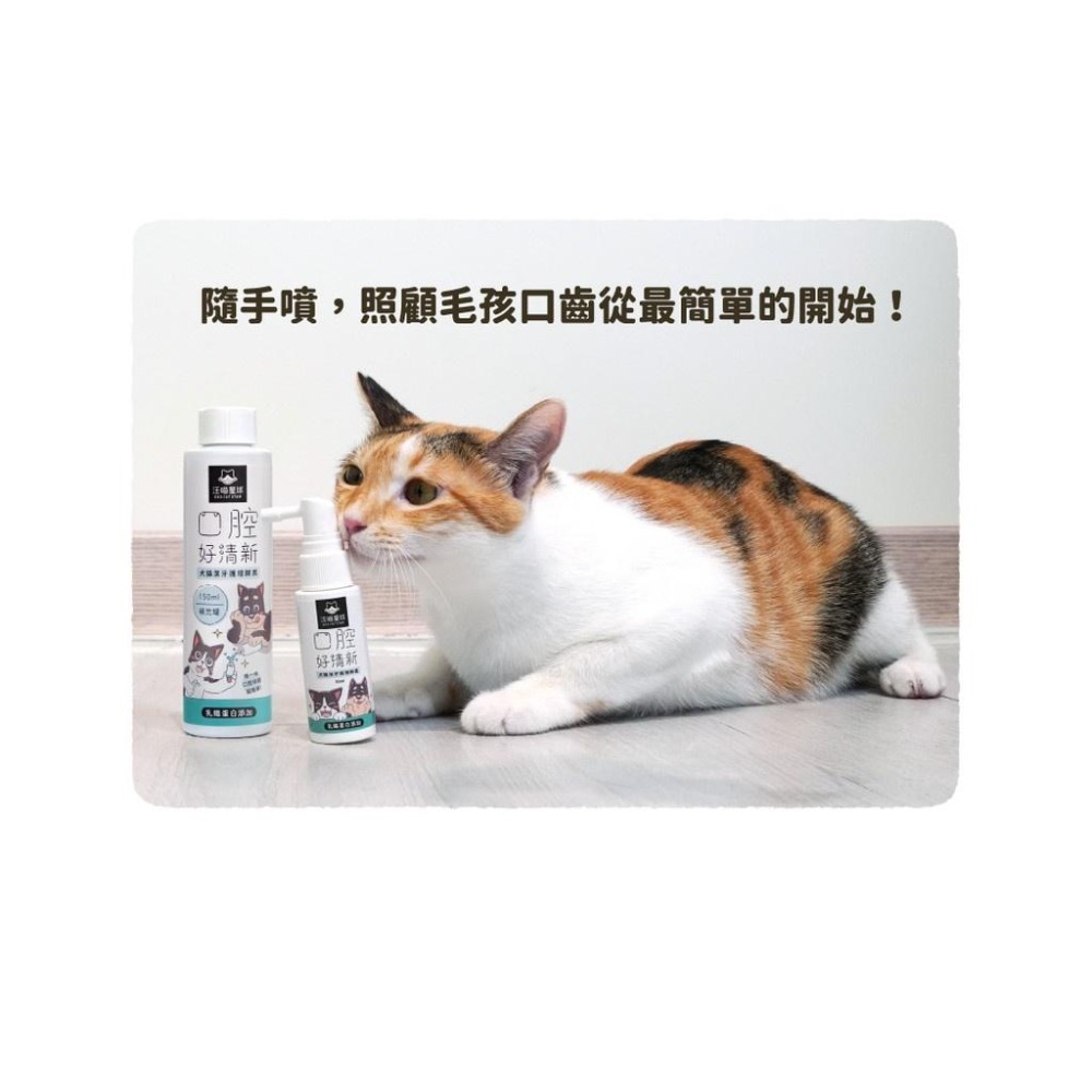 汪喵星球 🌪️ 汪喵潔牙護理酵素 🌪️ 噴劑型 犬貓用 潔牙噴劑 潔牙水 牙膏 牙刷 30ml-細節圖6