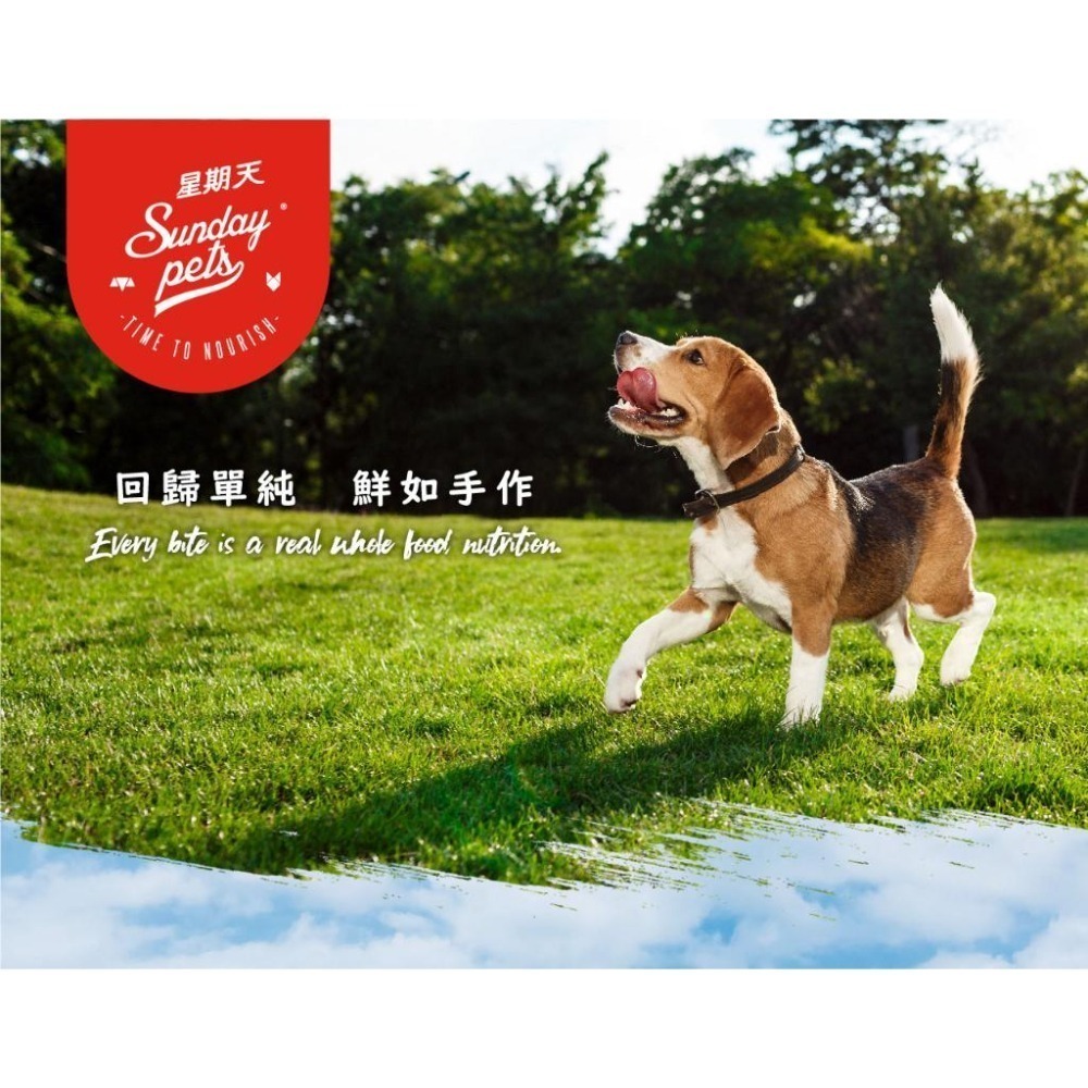 Sunday Pets星期天 原焙好食糧 💙 添加綠草胃 無穀犬糧 狗 飼料 羊肉 牛肉 鮭魚 鱈魚 狗 1.3KG-細節圖2