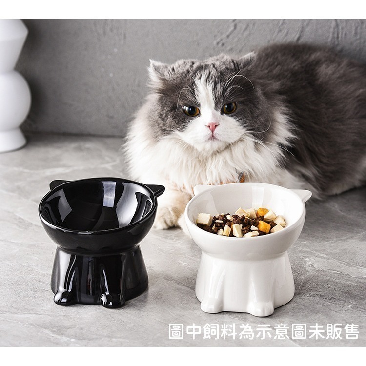 黑色寵物碗 陶瓷高腳碗 斜角寵物碗 💎 陶瓷水碗 寵物水碗 陶瓷碗 高腳寵物碗 貓碗 黑碗-細節圖5