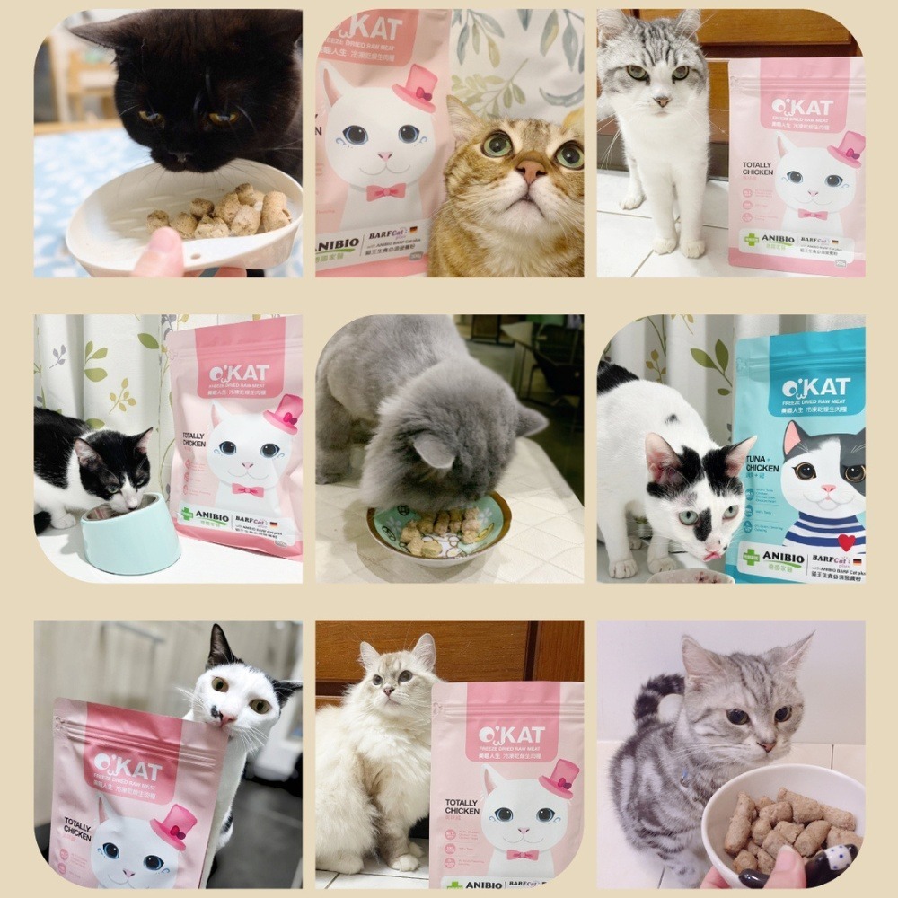 O＇KAT 美喵人生 冷凍乾燥生肉糧 台灣製 凍乾主食 貓乾糧 雞 鮪魚 國產貓飼料 貓零食 營養補充-細節圖5