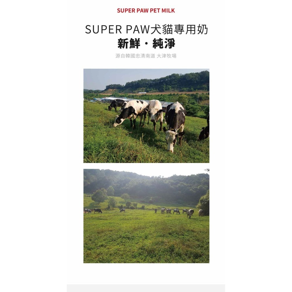 super paw 寵物牛奶 superpaw 犬貓專用牛奶 去乳糖 180ml 幼貓牛奶 寵物專用奶 幼犬牛奶-細節圖4