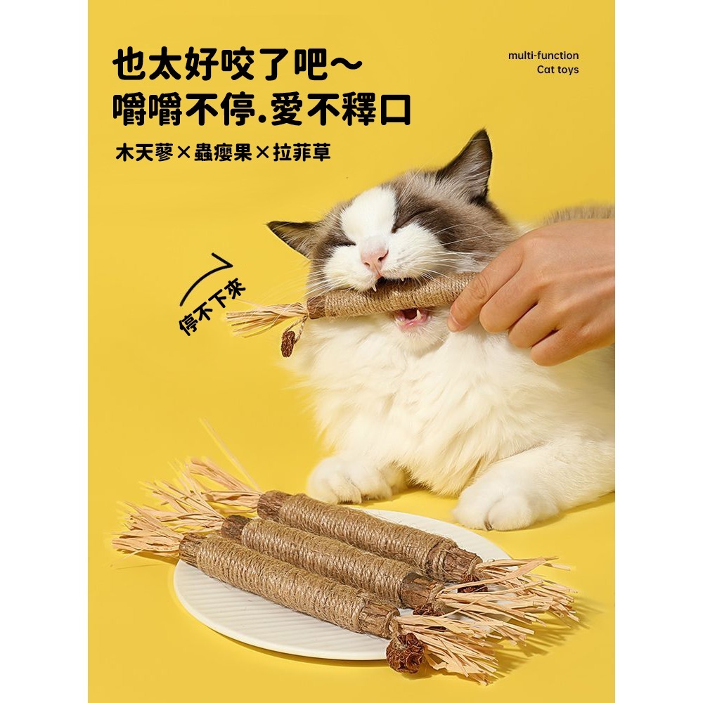 升級版 木天蓼 磨牙棒 木天蓼棒棒 蟲癭果 木天蓼棒 貓咪潔牙 貓咪磨牙 貓咪玩具-細節圖3